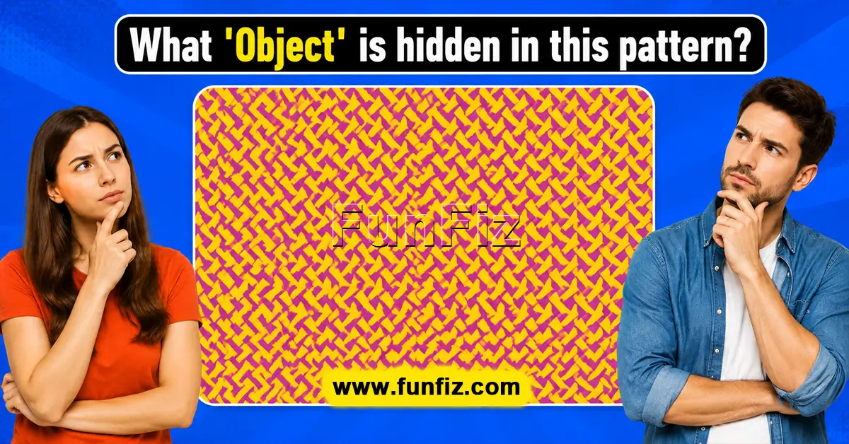 What 'Object' is hidden in this pattern?